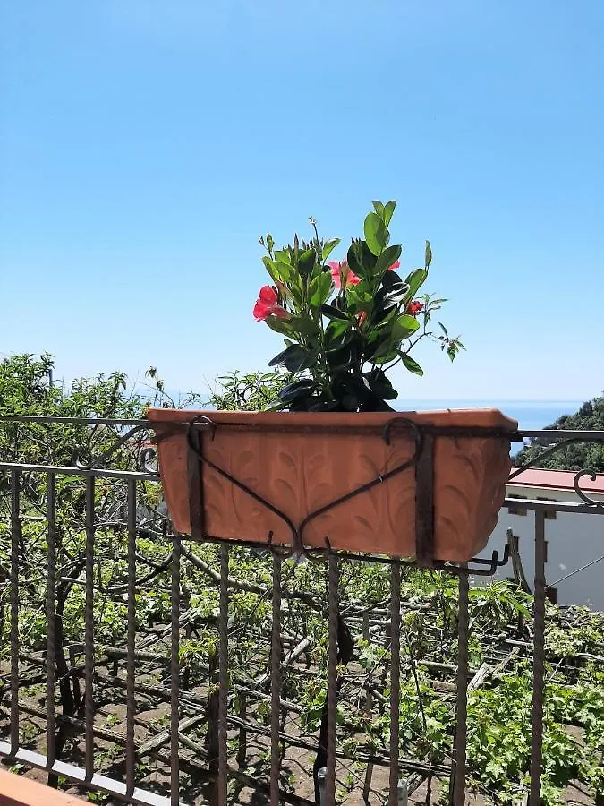 Casa Almary Apartment Amalfi